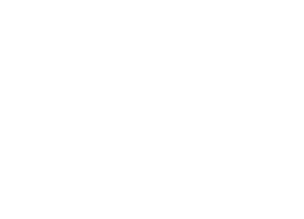 Pandora_Wordmark_White