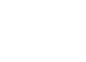 audiosalad
